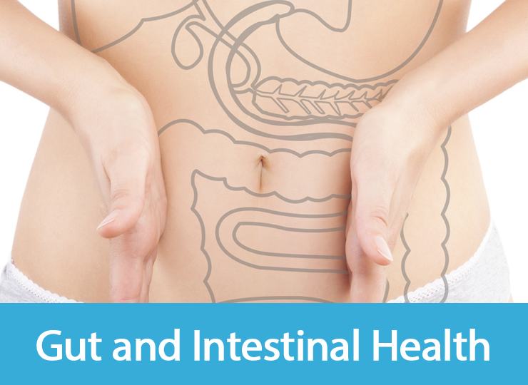 Gut and Intestinal Health